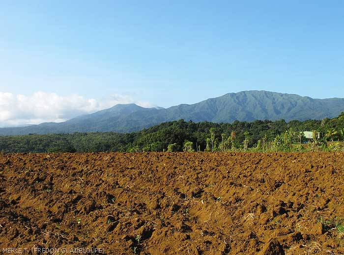 Appearance of plowed soil in Guadeloupe.