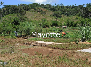 Mayotte1