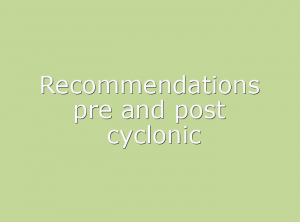 Préconisations pré et post-cycloniques