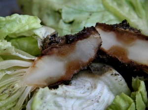 <b> <i> Erwinia carotovora </i> subsp.  <i>carotovora</i> </b> (<i> Pectobacterium carotovorum </i>, wet black rot of stem and apple, bacterial soft rot) on salad