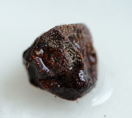Baya de uva arrugada cubierta con una alta densidad de picnidios.  <i> Pilidiella diplodiella </i>