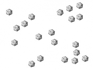 El <b><i>Beet western yellow virus</i></b>, (BWYV es un polerovirus paraesférico de estructura isocaédrica.