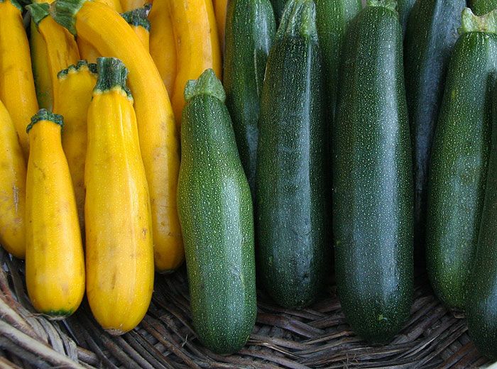 Calabacín y calabaza 