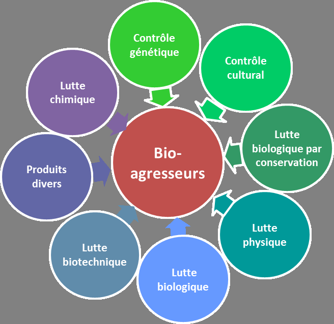 Les principes et la pratique de la technique roentgenologique