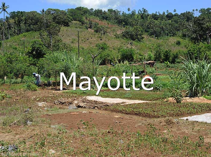 Mayotte1
