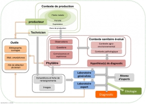 Diagnostic-Terrain-Labo