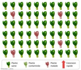 Repartition-Isolees2