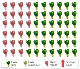 Repartition-Secteurs