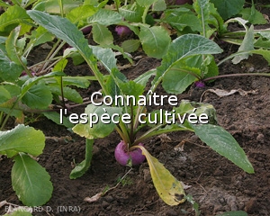 Connaitre-Espece