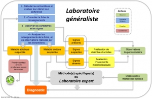 Figure-Labo-generaliste2