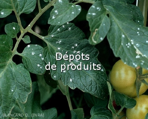 Diagno-Depots-produit