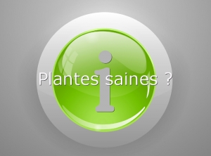 INFO-Plantes saines