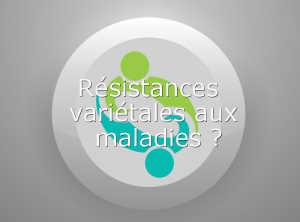 Resistance-varietale