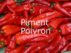 Piment-Plante