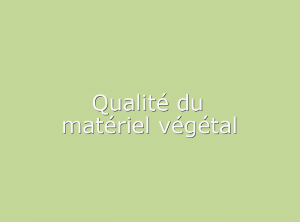 Qualite-matériel-vegetal