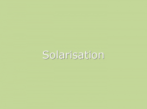 Solarisation