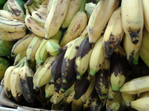 Anthracnose banane