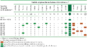 resistance_bremia2