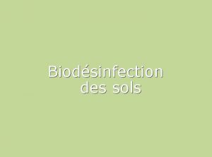  Biodésinfection des sols
