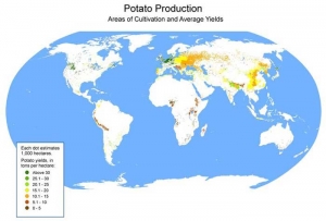 Carte : Production de pomme de terre