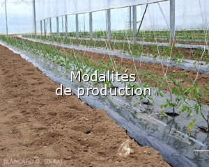 Diagnostic-Modalites-production