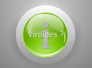 INFO-Viroides