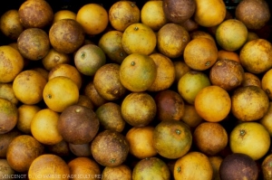 Dégâts de Phytopte sur fruits