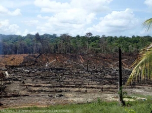 Contexte-Guyane16