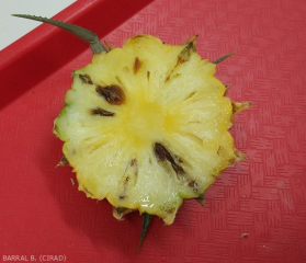 Tache noire sur ananas