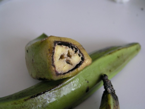 L’intérieur des fruits présente une pourriture brune et sèche. Source : DAAF - SALIM Guyane