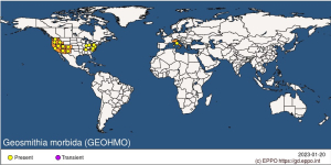 GEOHMO_map